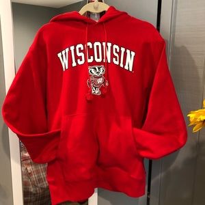 University of Wisconsin Champion hoodie